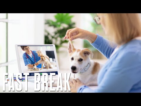 Technology and the Future of Pet Healthcare | Fast Company