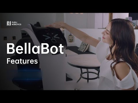 BellaBot Features - This is BellaBot, a preium delivery robot. Runs into you unexpectedly.