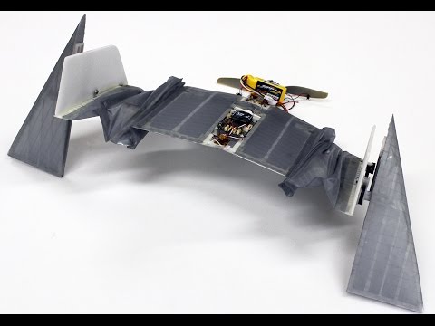 A flying robot that can walk