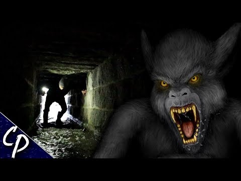 Investigating Toronto&#039;s Tunnel Monster | Cryptid Profile