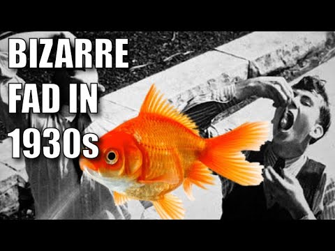 The Shocking History Of Goldfish Swallowing In The 1930s