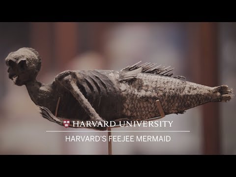 Harvard&#039;s FeeJee mermaid
