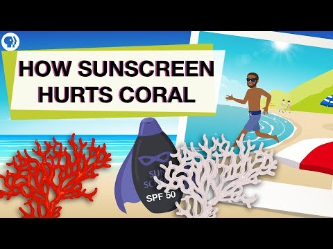 Is Your Sunscreen Hurting Coral Reefs?