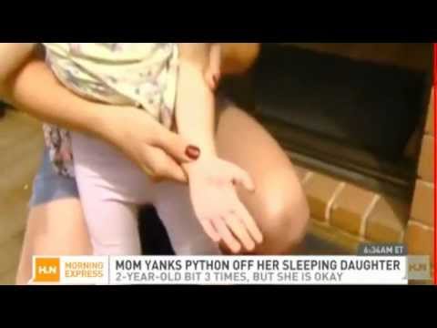 News Today 2013 Mom yanks python off sleeping toddler girl biting three times - more this week