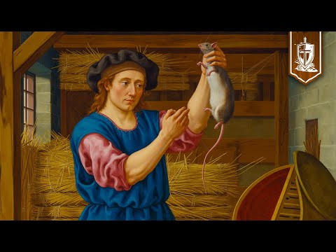 10 Easy Ways Medieval Peasants Got Rid of Rats and Mice
