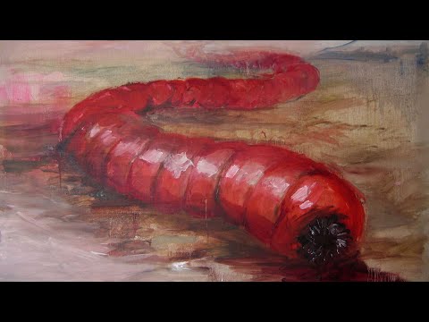 The Mongolian Death Worm
