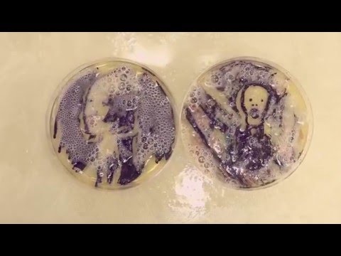 Microbial Art