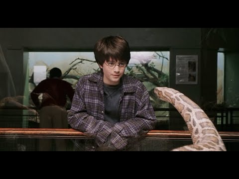 All Parseltongue Scenes in Harry Potter