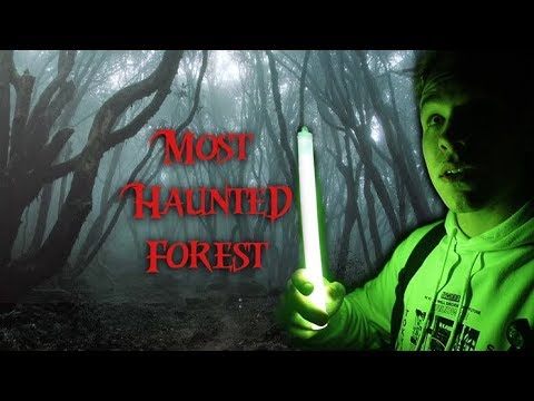 World’s Most HAUNTED Forest! - Hoia Baciu Forest (Transylvania)