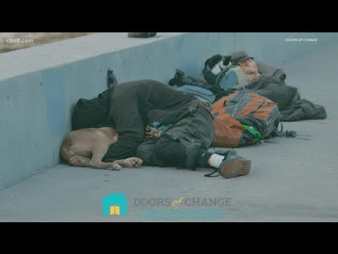 &#039;Hidden kids&#039; | Helping homeless youth who often go unnoticed