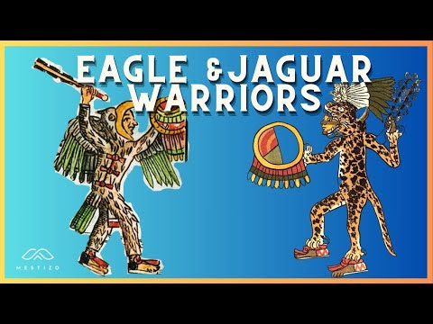 Eagle &amp; Jaguar Warriors: Aztec Military Elite