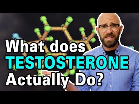 Why Does Testosterone Affect Body Hair Growth?