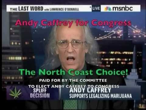 Congressional candidate Andy Caffrey smokes pot in Tokin&#039; Candidate campaign TV ad (Broadcast)