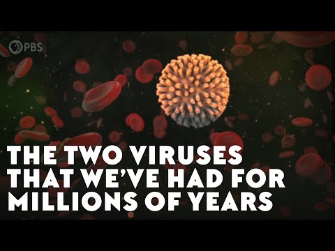 The Two Viruses That We’ve Had For Millions of Years