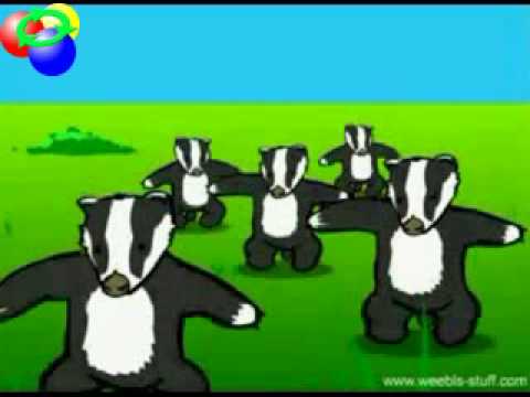 Badger song (Badger badger badger , mushroom mushroom)