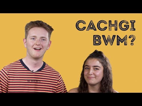 Be’n y byd di CACHGI BWM?