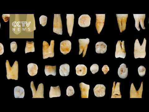 Ancient teeth found in China could rewrite human history