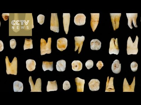 10 Recent And Surprising Scientific Finds From Around The World - 86