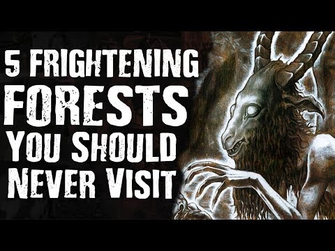 5 FRIGHTENING FORESTS You Should Never Visit