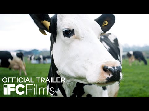 Cow - Official Trailer | HD | IFC Films