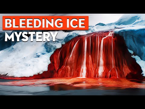The Blood Falls Of Antarctica 🩸