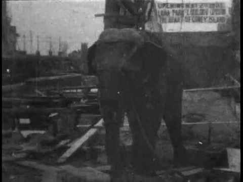 Topsy: Electrocuting an Elephant (1903) *restored* | WARNING: Viewer Discretion - Thomas Edison