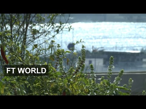 Hong Kong&#039;s urban farms | FT World