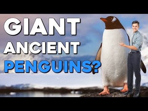 Ten True Tales of Penguins - 95