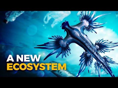 The Creatures That Thrive in the Pacific Garbage Patch