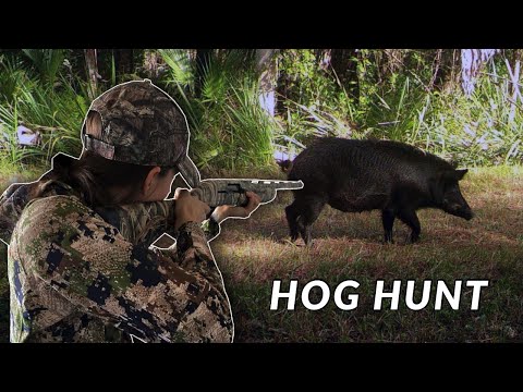 Hunting &amp; Cooking - WILD HOG in Florida