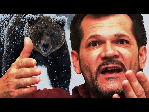 He Built a Bear-Proof Suit In His Garage