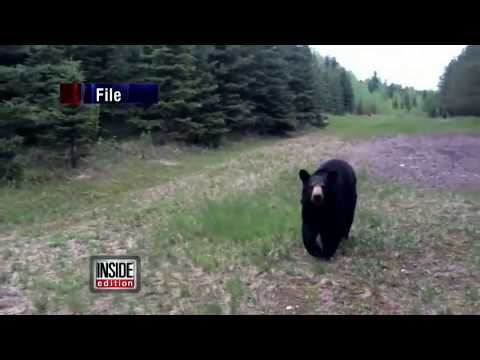 Mom Explains Surviving a Bear Attack: I Kicked Him and Hit Him