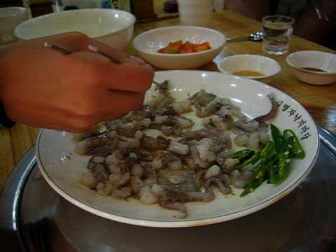 Eating Sannakji (live octopus) in South Korea