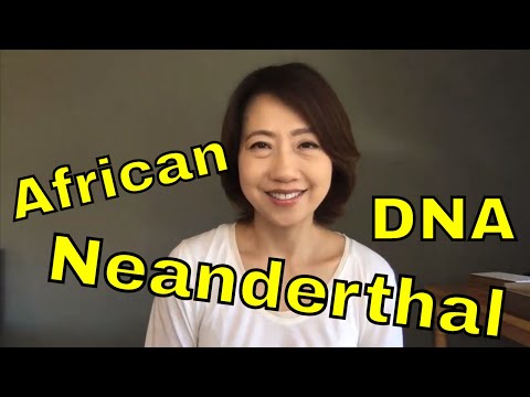 Neanderthal genes found in Africans