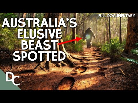 YOWIE: The Legend of the Australian Bigfoot | Boogeymen | Documentary Central