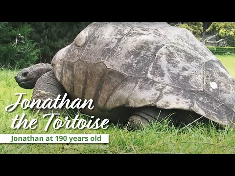 Jonathan at 190 years old