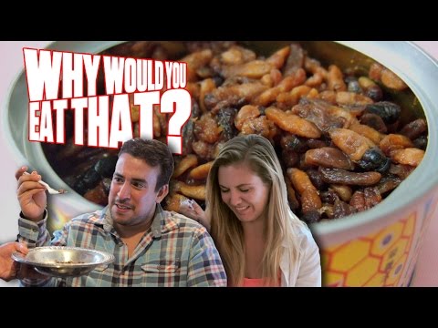 10 Most Bizarre Ways We Use Animals As Food - 84