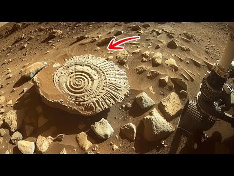 Evidence of Coral on Mars