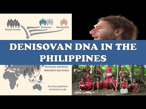 Denisovan DNA In The Philippines