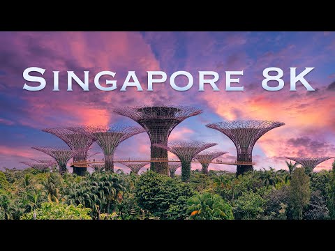 Singapore | Real 8K