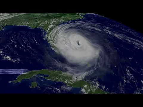 Newborn Makes it Through Harvey and Irma