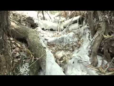 River encased in concrete: Glencore Xstrata&#039;s mine mistake in conservation area Mt Sugarloaf, NSW