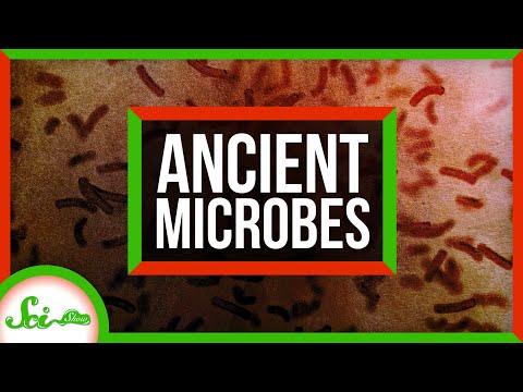 These 100-Million-Year-Old Microbes Are Still Alive!
