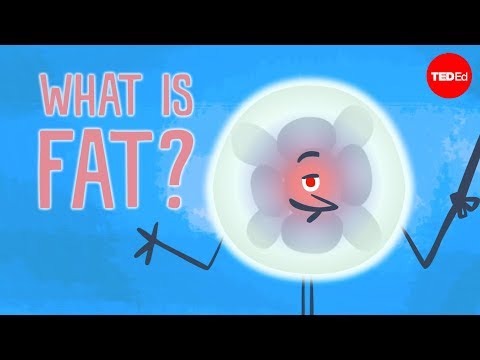 What is fat? - George Zaidan