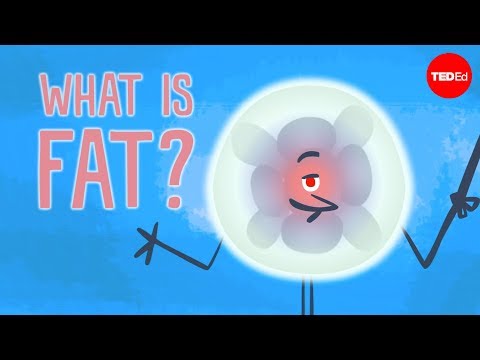 What is fat? - George Zaidan