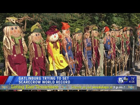 Gatlinburg trying to set scarecrow world record