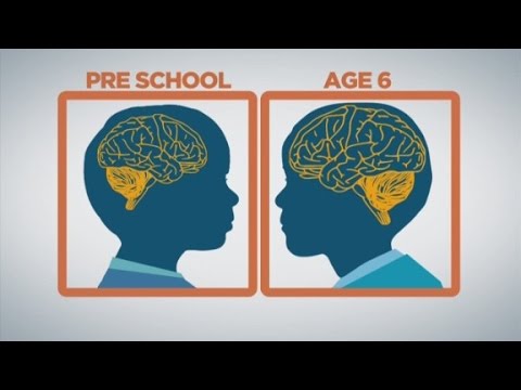 How baby brains develop