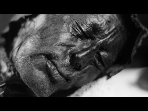 Bog Bodies Are Real. Here&#039;s What You Should Know