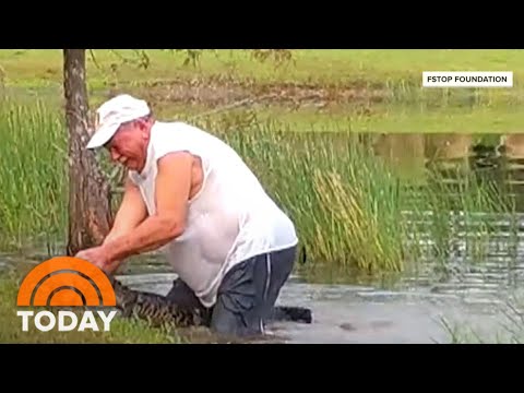 Video Shows Florida Man Rescuing His Puppy From Alligator Attack | TODAY