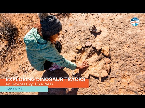 Exploring Dinosaur Tracks, an Interesting Hike Near Kanab, UT